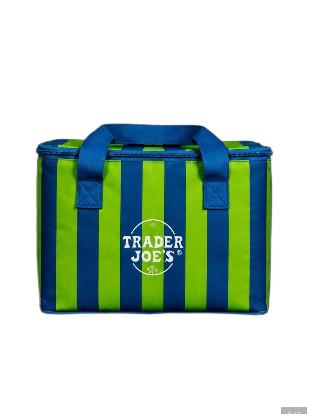 Trader Joe's Blue & Lime Green Striped Insulated Lunch Tote